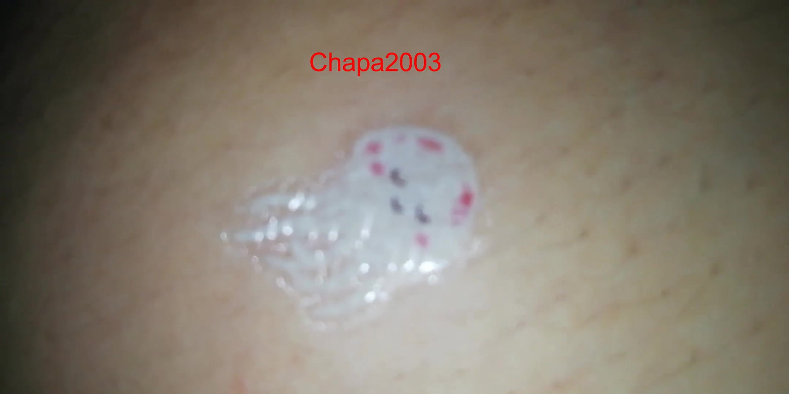 chapa2003 bathing fingering blowjob