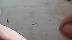 Cute Indian girl fuck invite boy