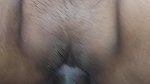 Deshi bhabhi black pussy dogy style fuck