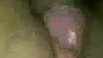 Deshi couple Sex rom sex viral video