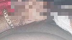 Desi bhabhi sucking her lover cock in defferent ways