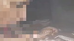 Desi bhabhi sucking her lover cock in defferent ways