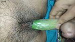Desi bhabi fun with vegi