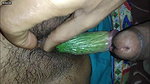 Desi bhabi fun with vegi