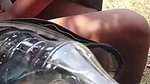 Desi Videos Local Sex Videos