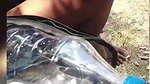Desi Videos Local Sex Videos