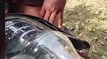 Desi Videos Local Sex Videos