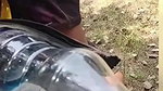 Desi Videos Local Sex Videos