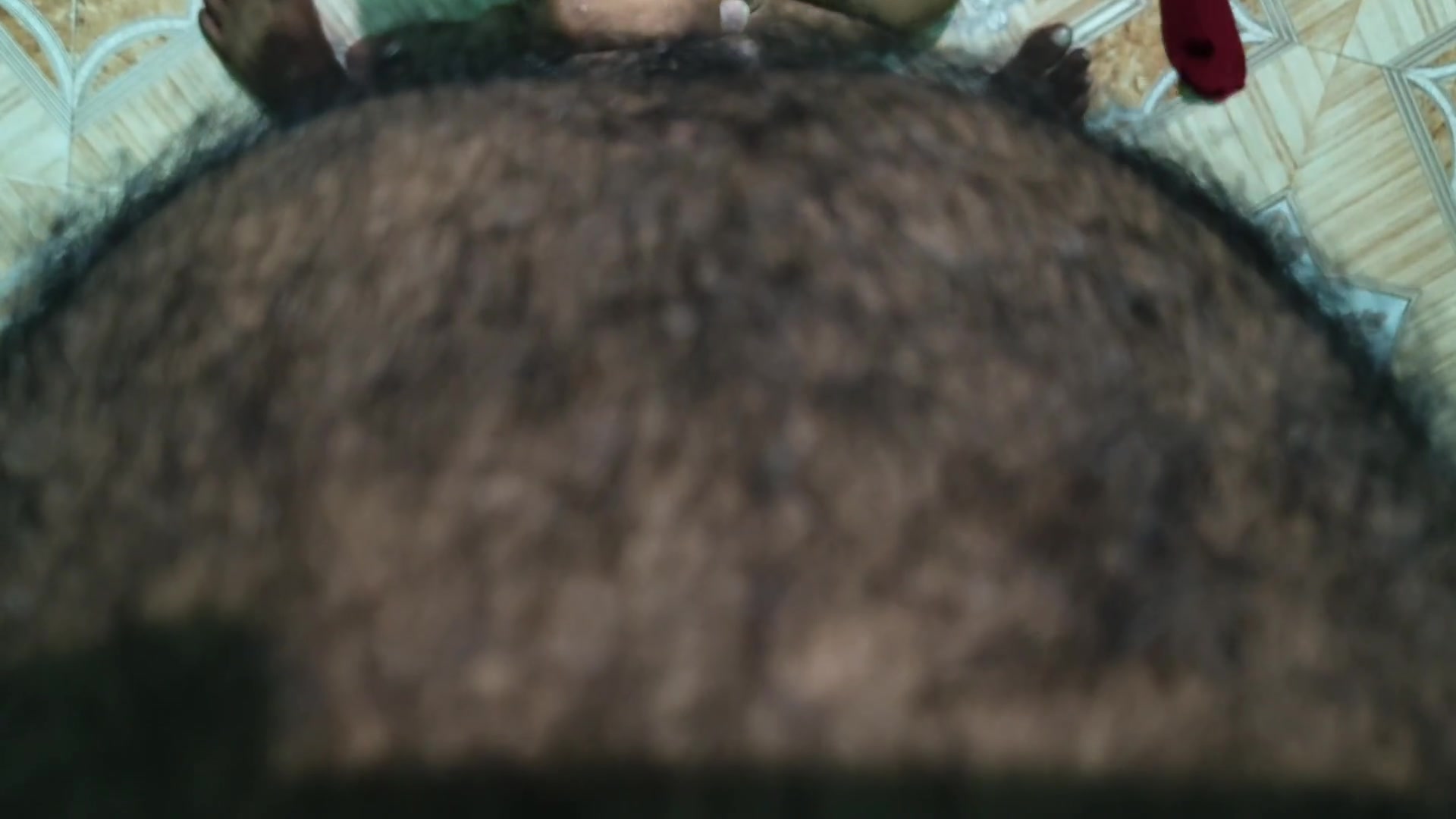 Frame 10
