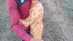 Desi village Randi make Fucking hindi vlogs with boyfriend, outdoor hindi vlog