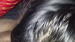 Indian wife make feeling happy her husband to suck husband’s cock