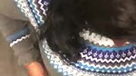 Desi Hotty Horny IT Girl Giving a suprhot BJ to Boss in Office