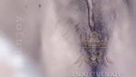 Tango Girl Kavya Singh Pussy Masturbation With face Show