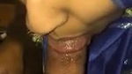 pakistani wife nasreen blowjob