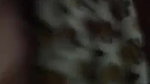 Desi HouseWife fingred by husbnds Boos aftr drinks