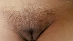 Desi Indian hairy soft Pussy