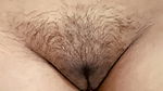 Desi Indian hairy soft Pussy