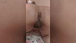 Desi girlfriend sucking his bf nicely