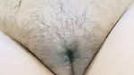 College student soft hairy pussy