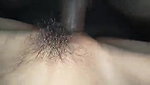 Indian bull sex
