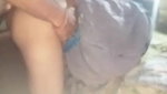 Indian bull has sex