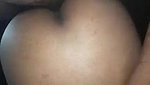 Indian bull and ex-gf