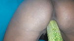 Indian Desi Cucumber Discount