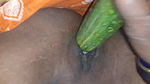 Indian Desi Cucumber Discount