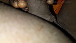 Girlfriend’s fucking after a long time