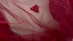 Indian slut wife wearing beautiful red saree