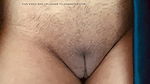 Indian hairy college girl pussy