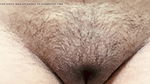 Hot hairy college student pussy