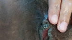 Hairy pussy close up