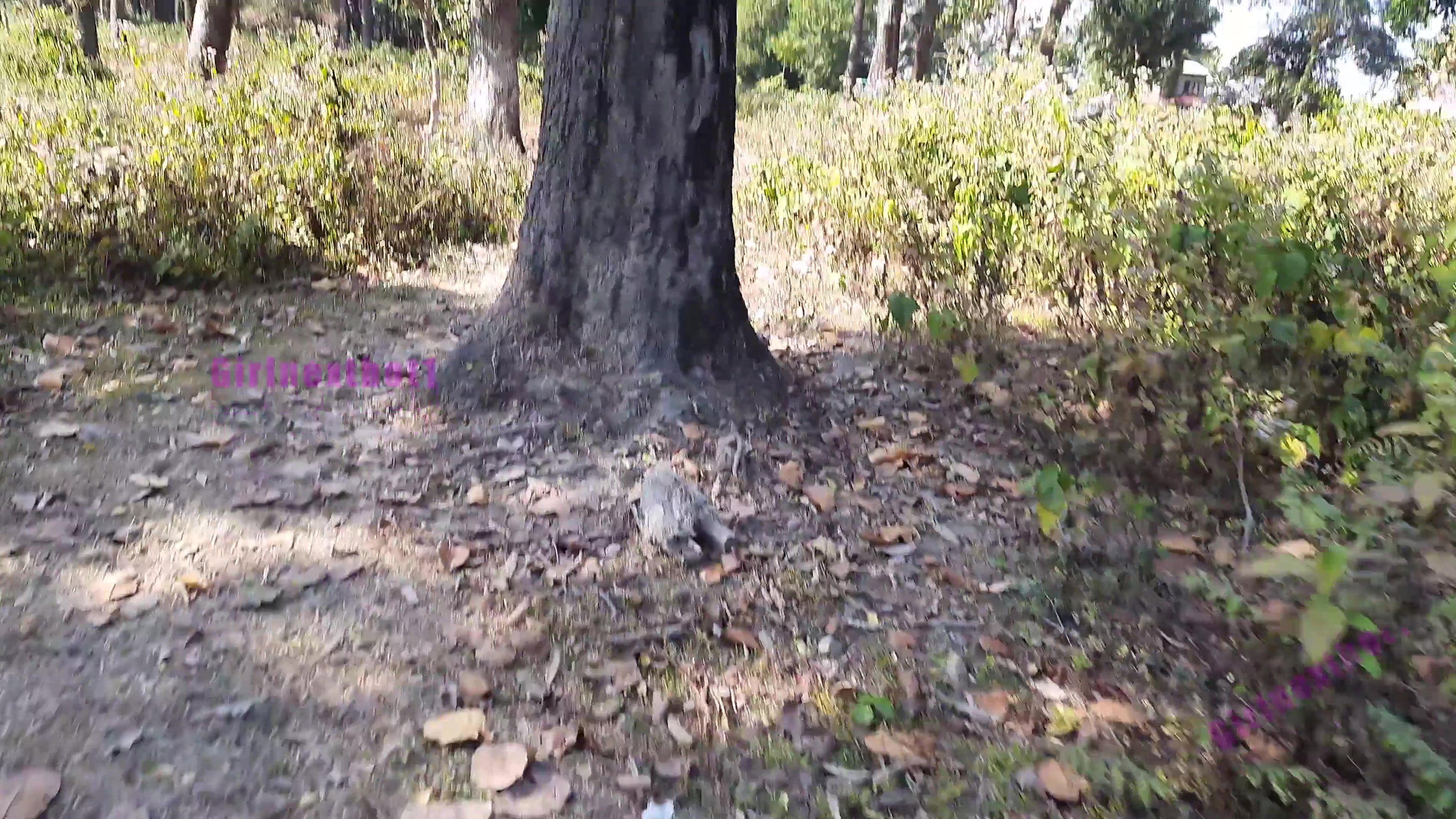 Frame 10