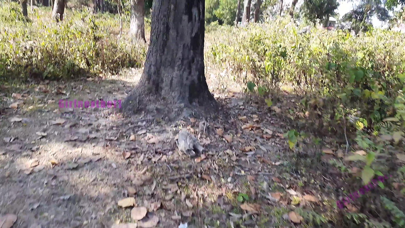 Jungle me Mangle – Hindi Outdoor Sex Fantasy