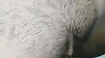 Beautiful girl hotel fucking