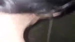 Bhabhi nude captured, when he wearing suit after fucking