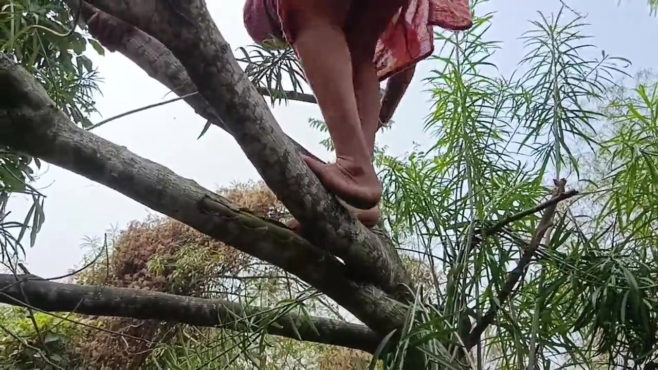 Frame 10