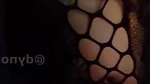 NISHA cam STRIPCHAT
