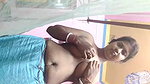 Unsatisfied Village boudi