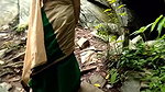 bhabhi in sari fucked in forest
