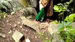 bhabhi in sari fucked in forest