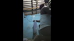 bhavna shy wife fucking with husband freind
