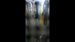 big boobs desi aunty bathing and talking in hindi sex mms
