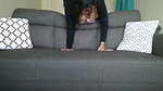 busty indian gf creamy pussy fucked