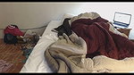 chubby desi babe young lover in london mms 4