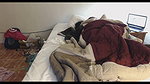 chubby desi babe young lover in london mms 4