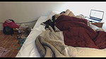 chubby desi babe young lover in london mms 4