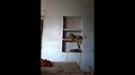 college lover sex scandal