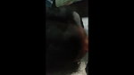 cute call center girl sucking